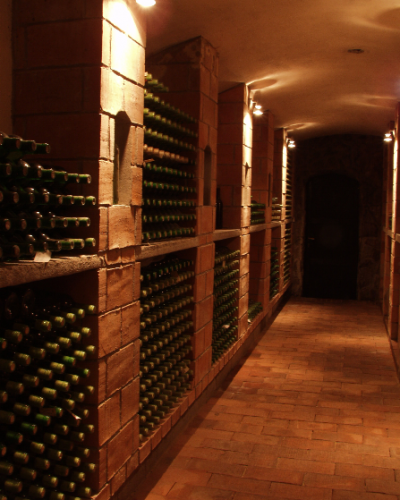 vino-rariga-pivnica-4